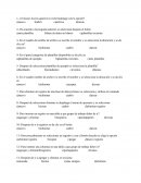 Base de datos etapa 3 diagnostica