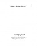 HOMOLOGACION PRACTICA PROFESIONAL