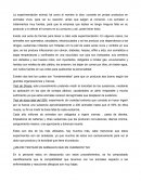 La experimentación animal.