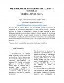 EQUILIBRIO LIQUIDO LIQIDO PARCIALEMNTE MISCIBLES