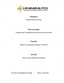 Realidad del Servicio en Cominidad.