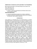 OBSERVACION Y ESTUDIO DE LOS PHYLUM CNARIA Y PLATYHELMINTHES