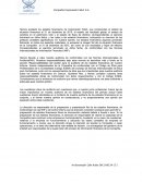 INFORME DEL AUDITOR INDEPENDIENTE