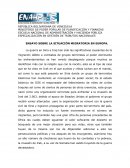ENSAYO SOBRE LA SITUACIÓN MIGRATORIA EN EUROPA.