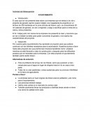 Actividad de Metacognición AYUNTAMIENTO