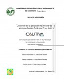 “Desarrollo de la aplicación móvil Sonar de la empresa Cautiva Publicidad S. A, de C. V.”