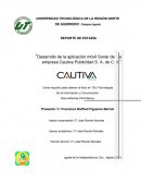 Desarrollo de la aplicación móvil Sonar de la empresa Cautiva Publicidad S. A de C. V