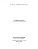 Practica de laboratorio suma de fuerzas.