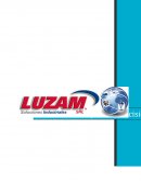 DECISIONES GRENCIALES - CASO: LUZAM.
