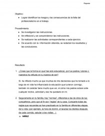 Lograr identificar los riesgos y las consecuencias de la falta del profesionalismo en el trabajo.. Página 1