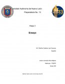 Ensayo de la monografia español.