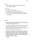 Lograr identificar los riesgos y las consecuencias de la falta del profesionalismo en el trabajo.