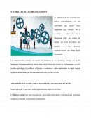 Naturaleza de la Organizacion.