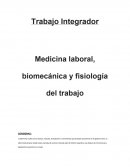 Medicina laboral, biomecánica y fisiología del trabajo.