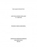 Ensayo revisoria fiscal en Colombia.