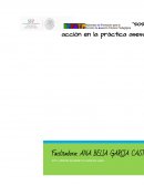 Reflexión sobre los cursos de acción en la práctica asesora