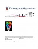 El abc de la actitud