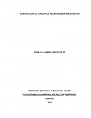 IDENTIFICACION DE CONCEPTOS DE LA PREGUNTA INVESTIGATIVA