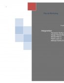 Presentación de la empresa Optimiza y su producto ReducingBags