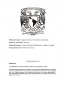 Nombre del proyecto: Actividad experimental (Reactividad de metales y no metales)