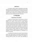 La higiene de los alimentos abarca un amplio campo