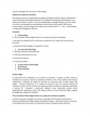 Causas y estrategias de lucha contra el efecto látigo