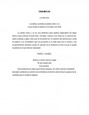 Dinámicas. LA PELOTA