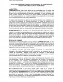 CASO: UNA DURA COMPETENCIA, LAS DECISIONES DE FARMYANTOJOS