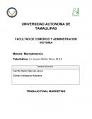 TRABAJO FINAL MARKETING.