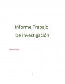 Ejemplo de Informe de investigacion.
