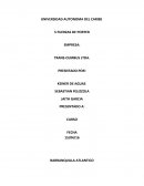 Análisis competitivo en el transporte de combustible: Las cinco fuerzas de Porter