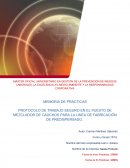 Memoria de práctica