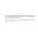 El tráfico vehicular en nuestro país, es uno de los temas de actualidad más abordados por los dominicanos