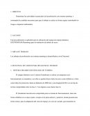 PROCEDIMIENTO DE PERFORACIÓN SISTEMA RAMMING.