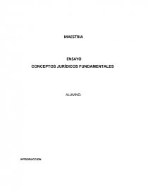 ENSAYO CONCEPTOS JURÍDICOS FUNDAMENTALESS. Página 1