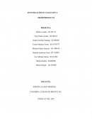 INVESTIGACIÓN II CUALITATIVA MICROPROYECTO