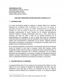 ANÁLISIS FINANCIERO DE MOLINOS ROA FLORHUILA S.A