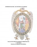 Mix de marketing vestidos de huanta