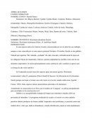 ÁRBOL DE RAMON FAMILIA MORACEAE