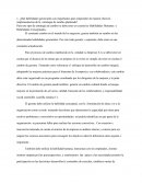 Estrategias y habilidades gerenciales