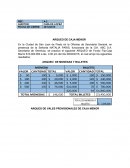 ARQUEO DE CAJA MENOR