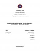 DIAGNÓSTICO DE CONSEJO COMUNAL “URB. VILLA ESPERANZA”