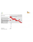 Ejemplos de cronograma y tabla EDT