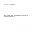 Proyecto de fisioterapia