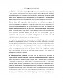 Visión organizacional en los negocios.