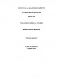 ENSAYO SOBRE LA CEGUERA.