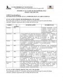 INFORME EVALUACIÓN DE MICROPROBLEMAS.