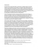 Vikingos. El propio término vikingo está sujeto a controversia.