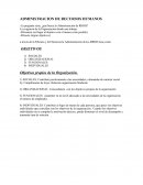 Administracion de Recursos Humanos. Sociales organizacional funcionales individuales