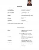 EJEMPLO SOBRE CURRICULUM VITAE